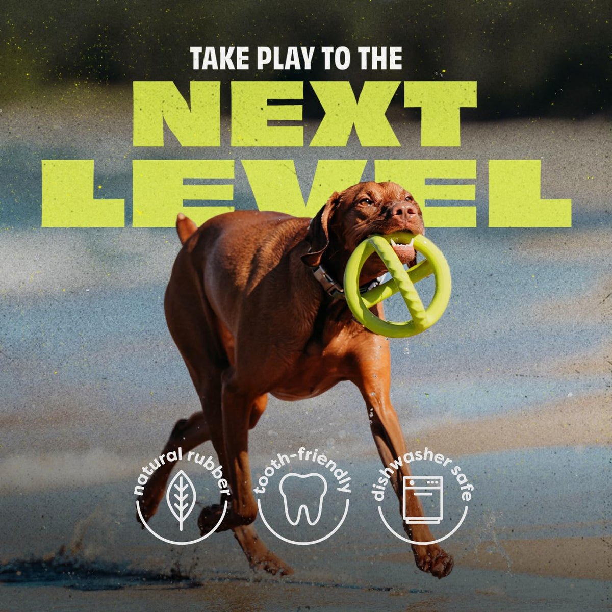 Benebone interactive dog play toy with curved grip