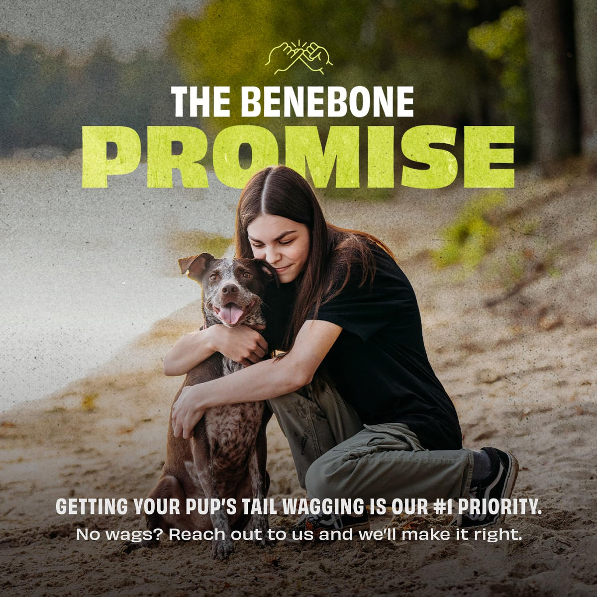Authentic Benebone natural rubber interactive pet toy packaging