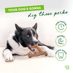 Dog holding Benebone bacon flavored chew toy with paws
