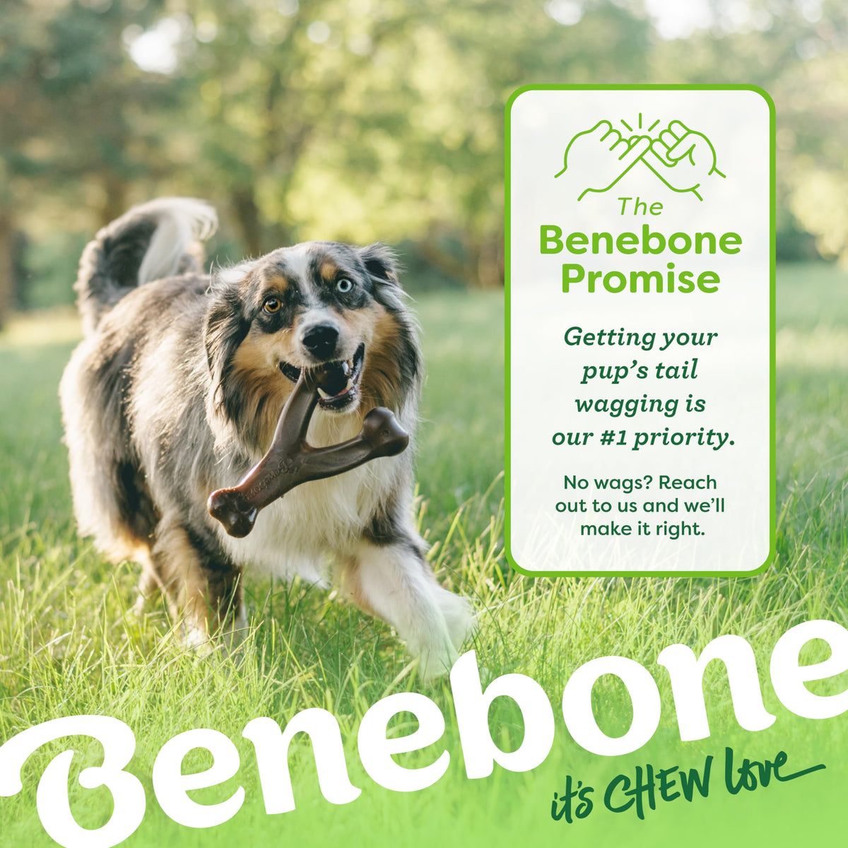 Authentic USA imported Benebone chew toy for medium dogs
