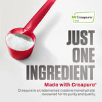 Premium German sourced Creapure seal on authentic Dymatize container