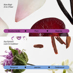 Full contents of the premium Eva NYC clean beauty gift pack including the two piece spray collection