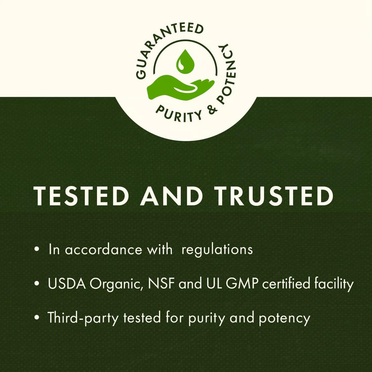 Close Up Detail Of Easy To Swallow Botanical Dietary Capsules