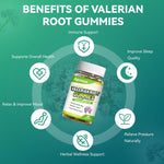 Authentic imported 60 count valerian root gummy bottle for daily tension relief.