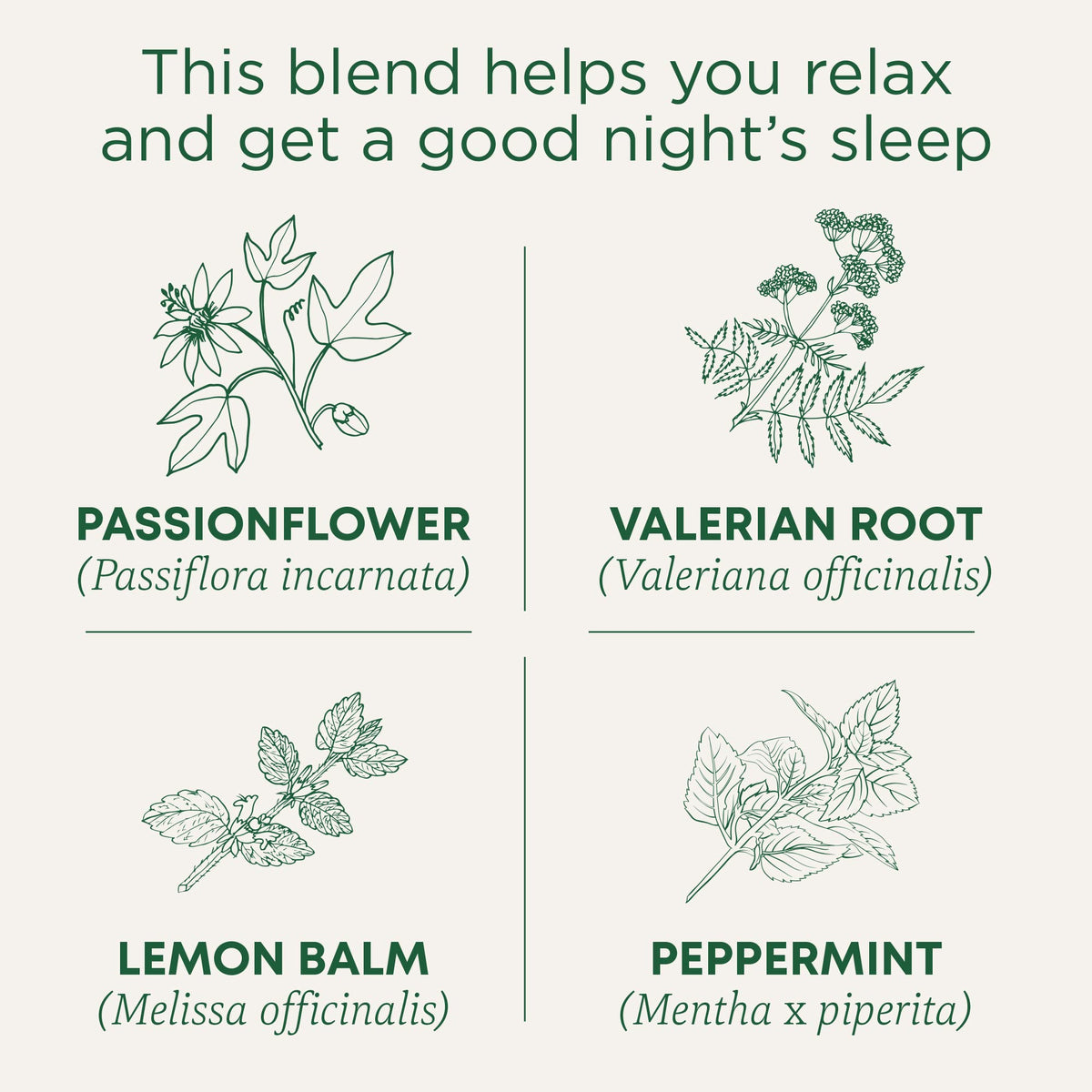 Traditional Medicinals caffeine free sleep aid tea box back view with brewing steps