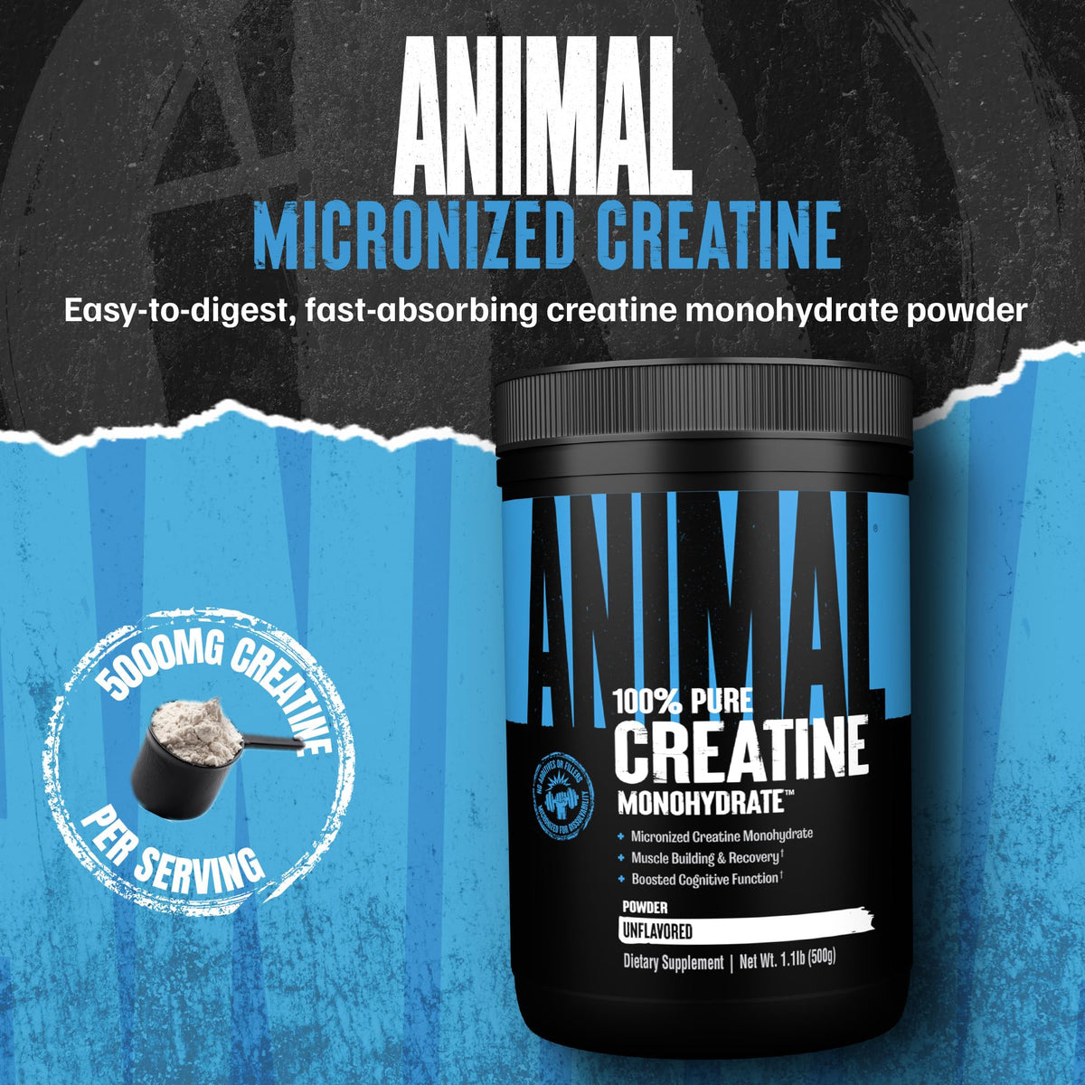 Pure unflavored workout supplement creatine monohydrate by Animal side label details