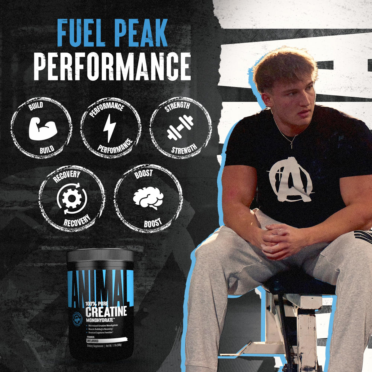 Micronized creatine powder for muscle recovery and athletic performance scoop serving