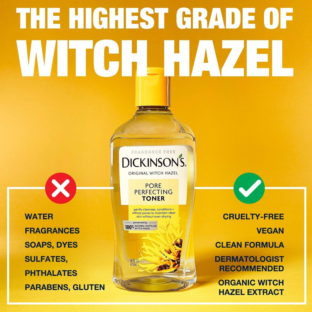 Dickinson's Original Witch Hazel Pore Perfecting Toner lifestyle skincare setup