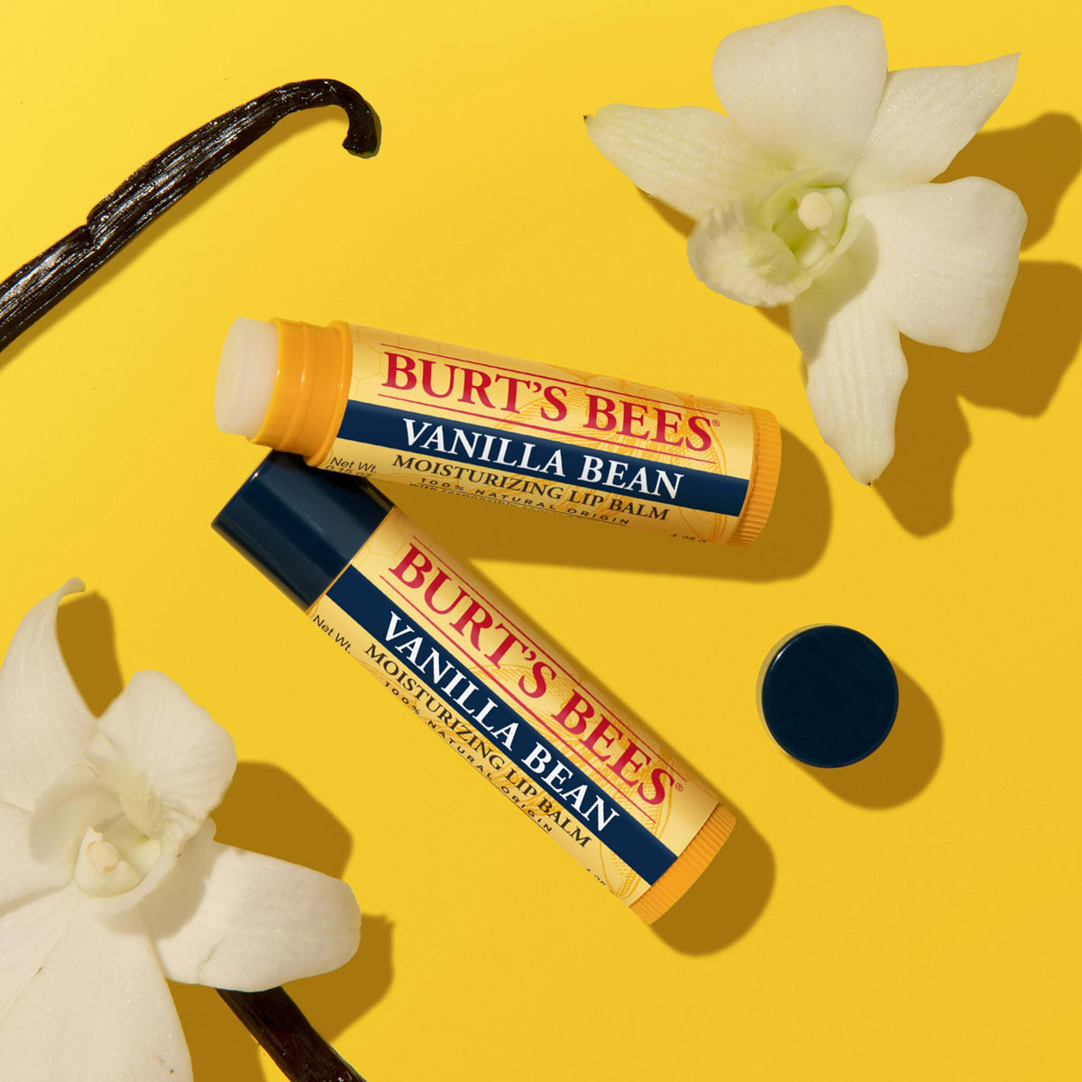 Authentic USA imported Burt's Bees vanilla bean lip balm for chapped lips
