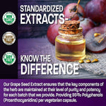 Bronson Grape Seed Extract vegetarian capsules bottle label details