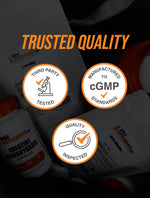 BulkSupplements filler free plant based quercetin flavonoid powder top angle shot for purity display