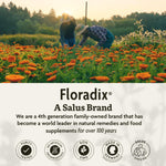 Authentic USA imported Floradix liquid herbal iron supplement bottle showcased against a clean backdrop