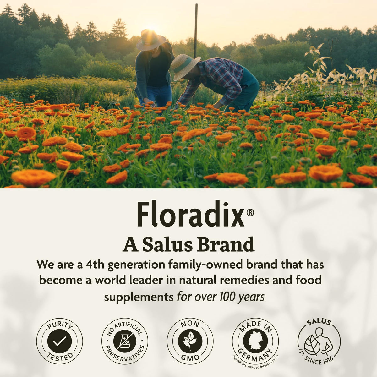 Authentic USA imported Floradix liquid herbal iron supplement bottle showcased against a clean backdrop