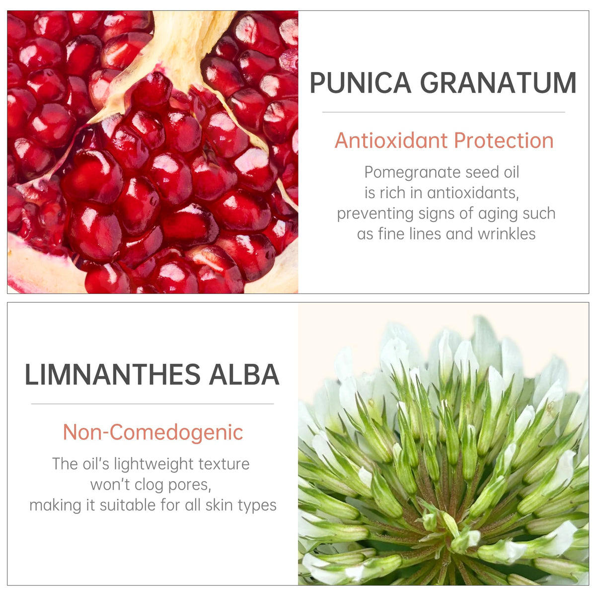 Loffeyo pomegranate seed oil ingredients and usage guide