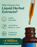 Herb Pharm Catnip liquid herbal extract dropper top close up