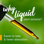 Detailed view of the Motherwort liquid extract dropper and cap