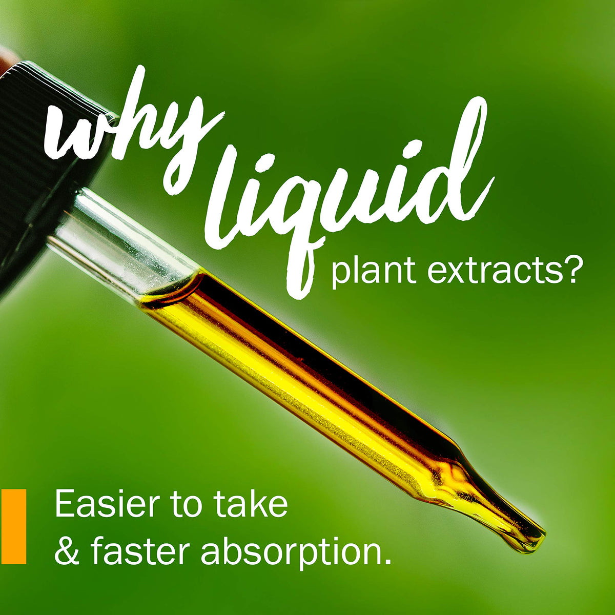 Detailed view of the Motherwort liquid extract dropper and cap