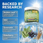 Clean Nutra Mullein Gummies supplement facts label displaying herbal ingredients
