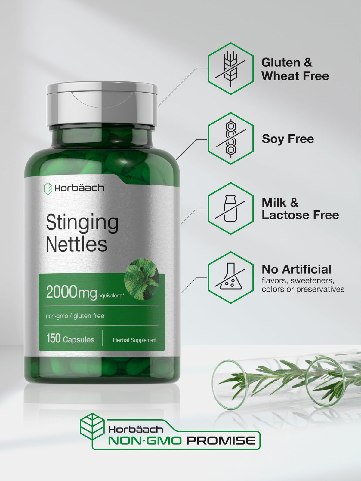 USA imported Horbäach stinging nettle packaging back view with ingredient list