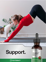 Gluten free and alcohol free herbal tincture bottle on a clear background