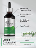 Natural green plant superfood chlorophyllin supplement facts and ingredients label