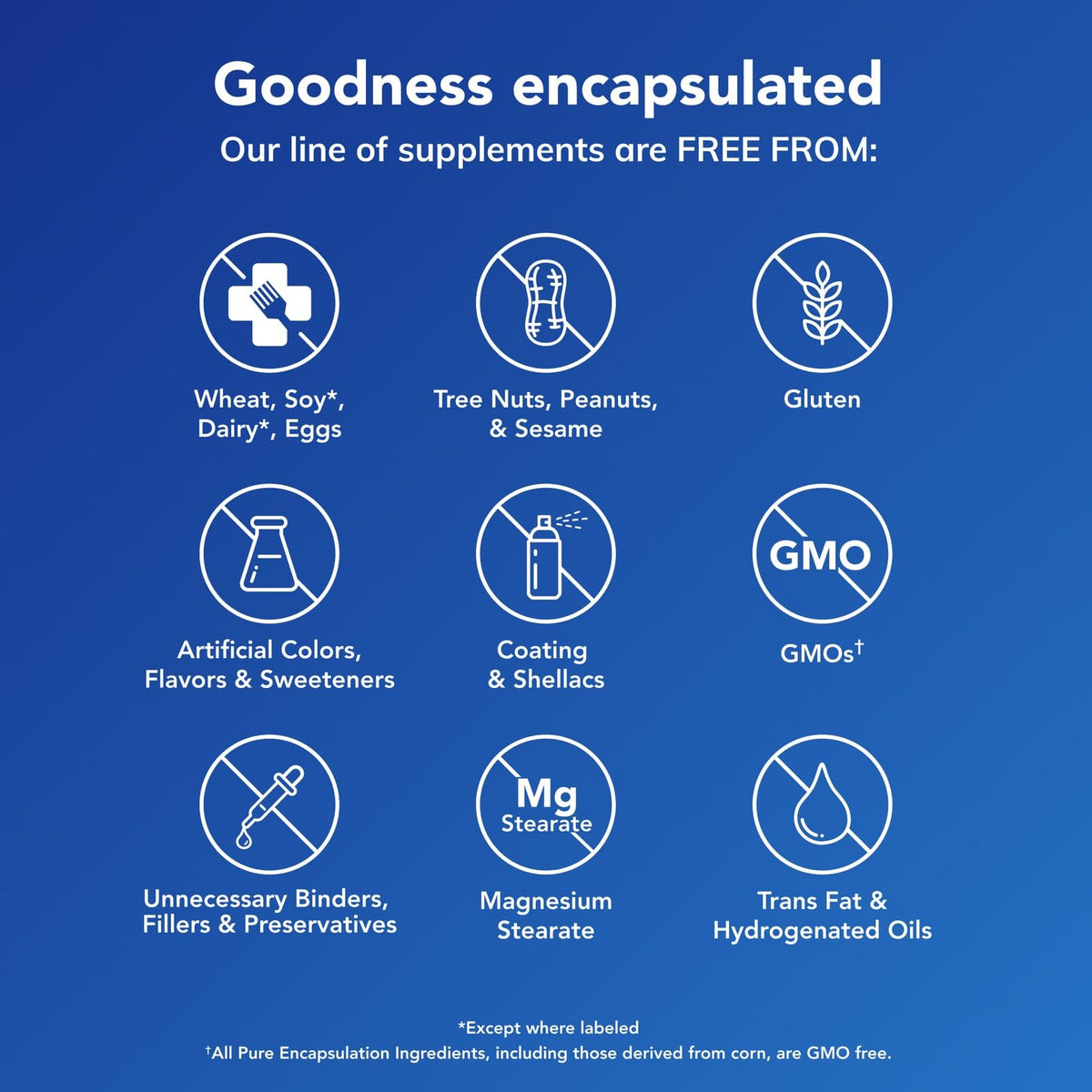 Pure Encapsulations B12 Liquid lifestyle view highlighting energy and immune health benefits.