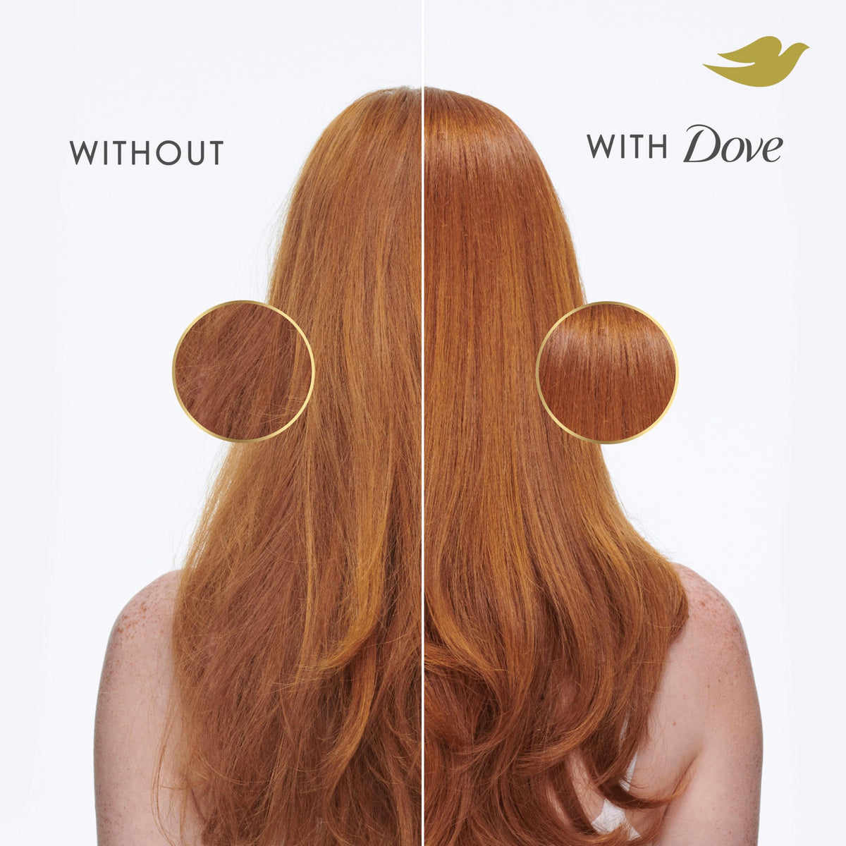Dove dry hair therapy shampoo bottle showing liquid consistency and formula attributes