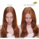Dove volume dry shampoo for two days of freshness and bounce.