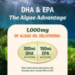 MAV Nutrition carrageenan free algae oil capsules close up view