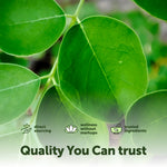 Micro Ingredients dietary supplement packaging with non-gmo seal