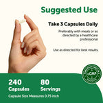 Micro Ingredients capsule size and dietary supplement texture