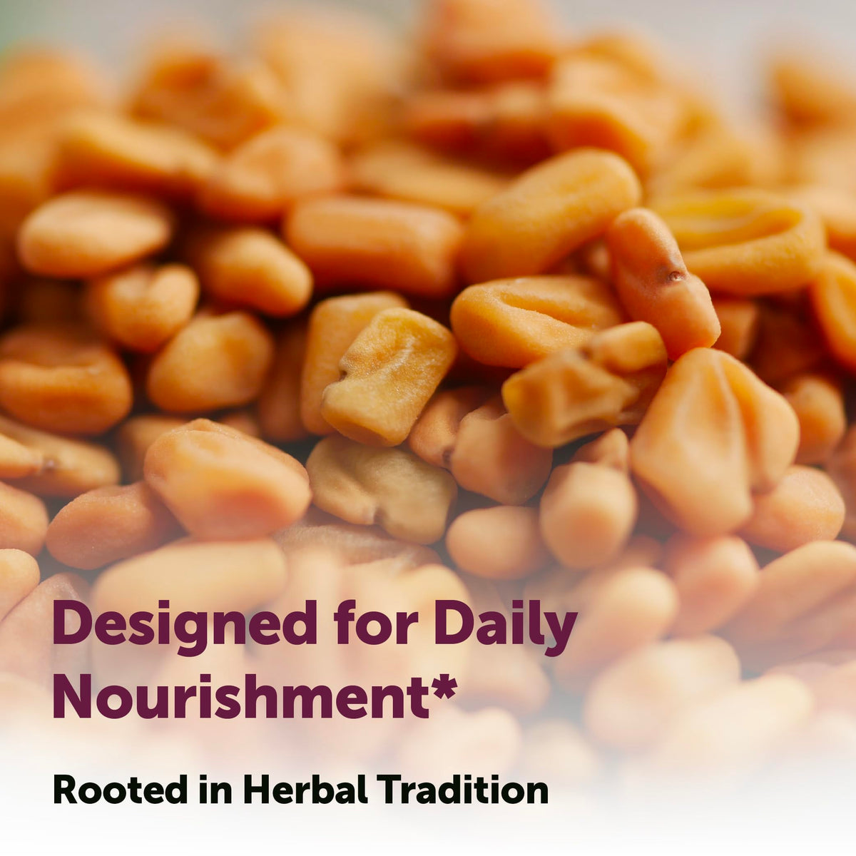 Micro Ingredients fenugreek sunflower lecithin ingredients highlight