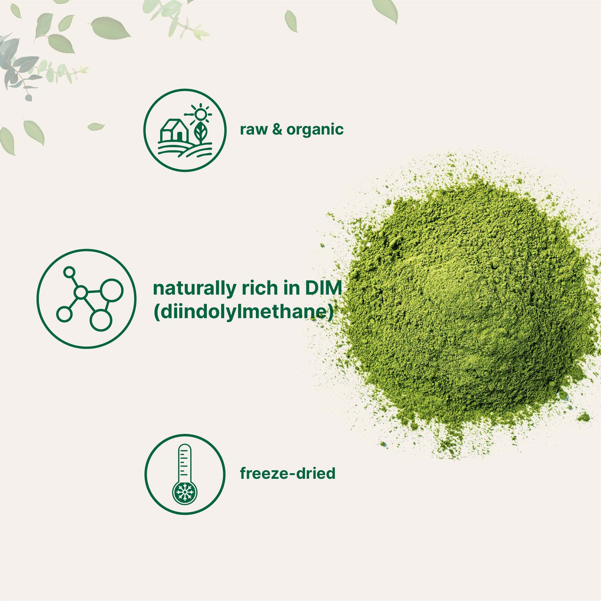 Fine texture of Micro Ingredients organic freeze dried green superfood powder