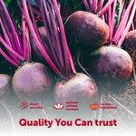 Lifestyle image representing fitness and cardiovascular wellness support