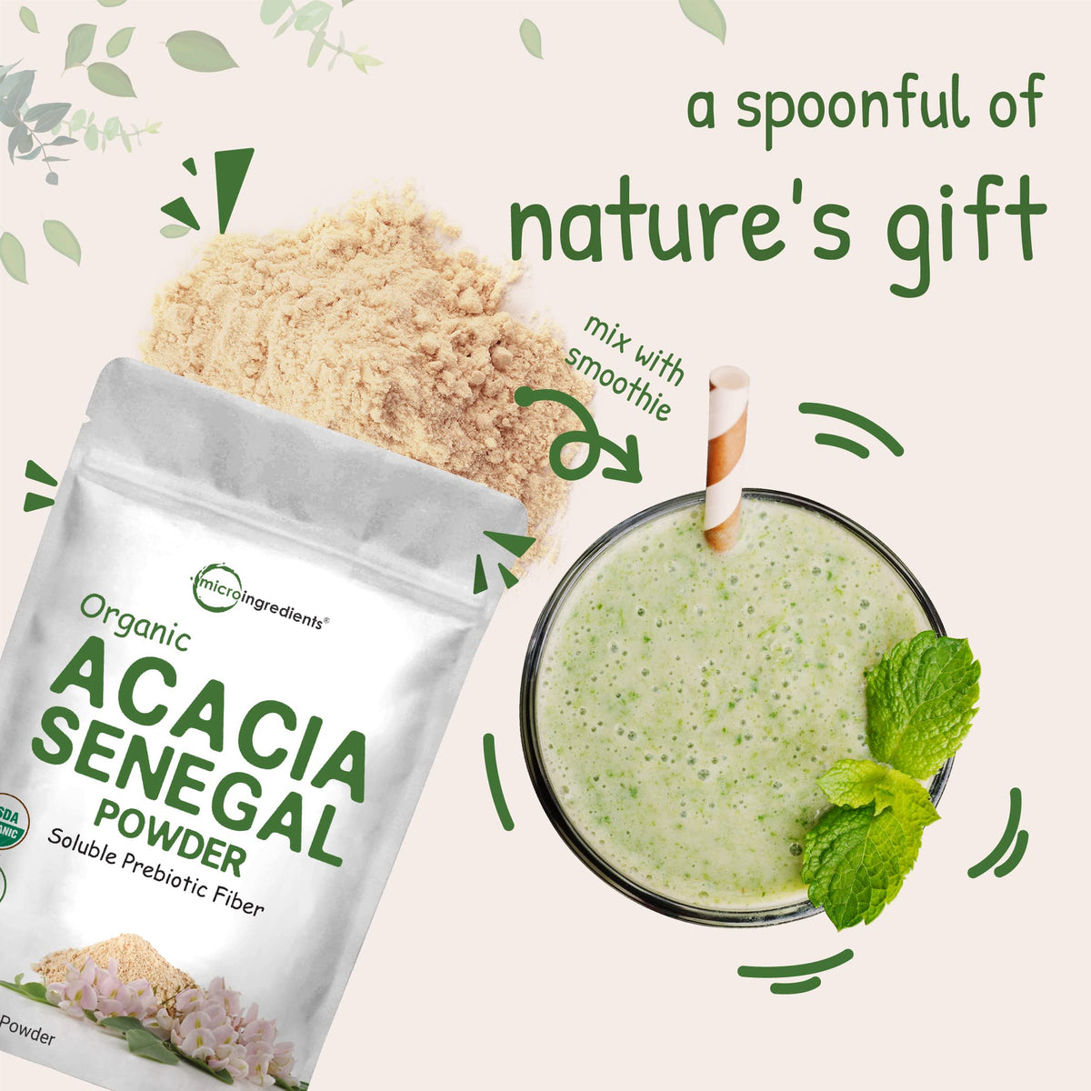 Micro Ingredients Organic Acacia Senegal Fiber Powder container scale and size