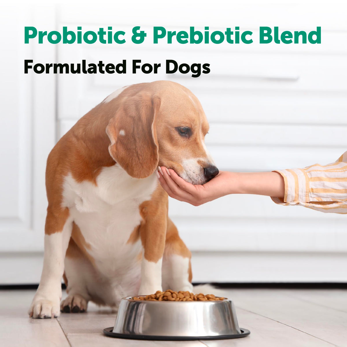 Micro Ingredients Probiotics for Dogs package ingredients list