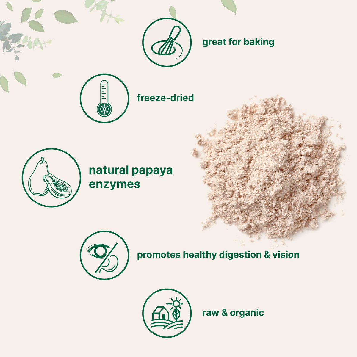 Micro Ingredients Organic Papaya Fruit Powder fine texture demonstration