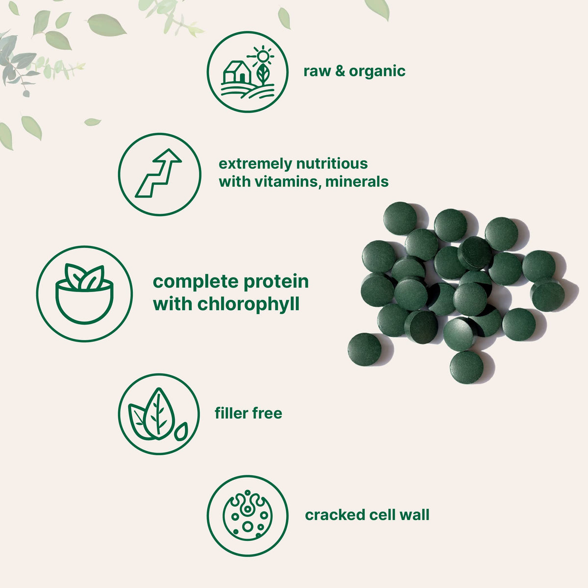 Organic chlorella tablets texture and size comparison