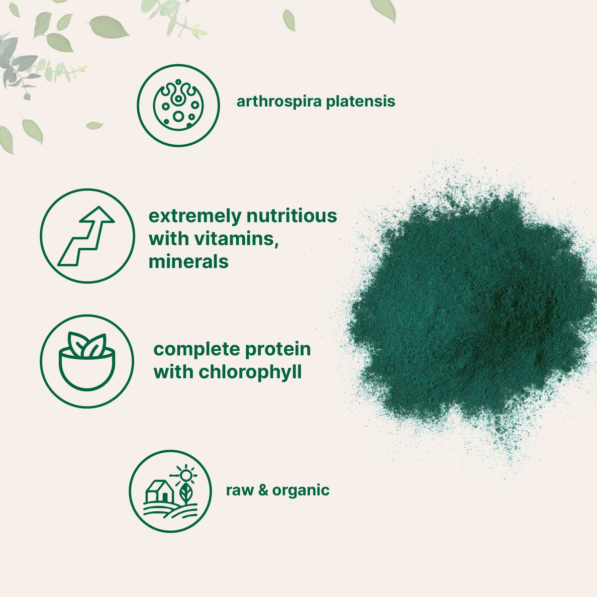 USDA certified organic spirulina powder nutritional facts and scoop