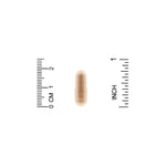 Imported USA Natrol Pycnogenol capsules packaging displaying cellular health benefits