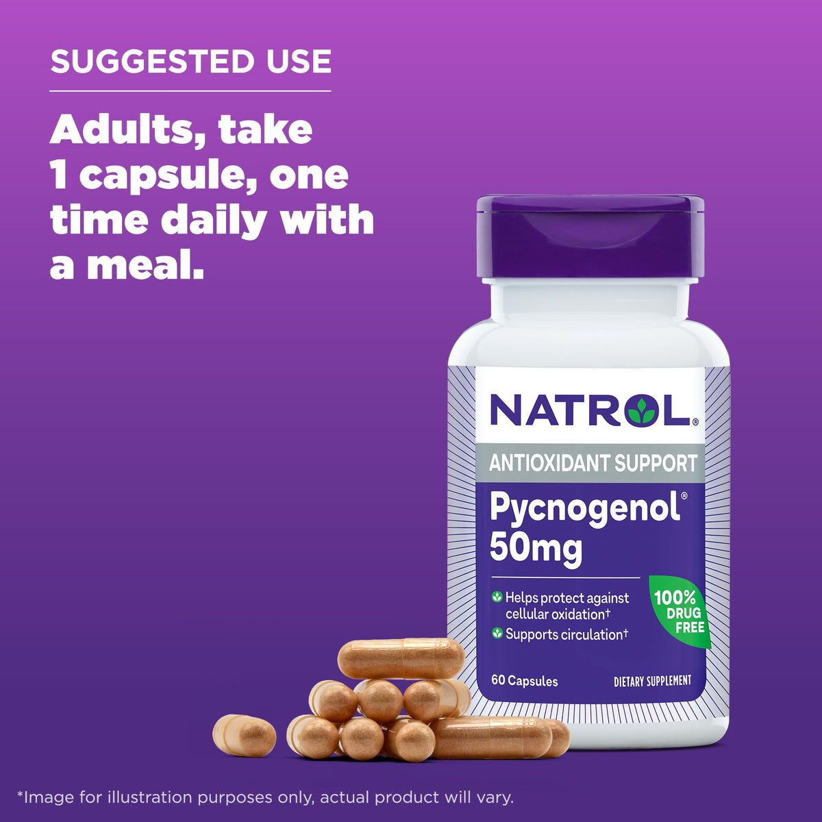 Premium French maritime pine bark extract supplement bottle by Natrol.