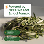 NatureBell premium olive leaf extract 240 capsules showcasing the original USA manufactured packaging seals