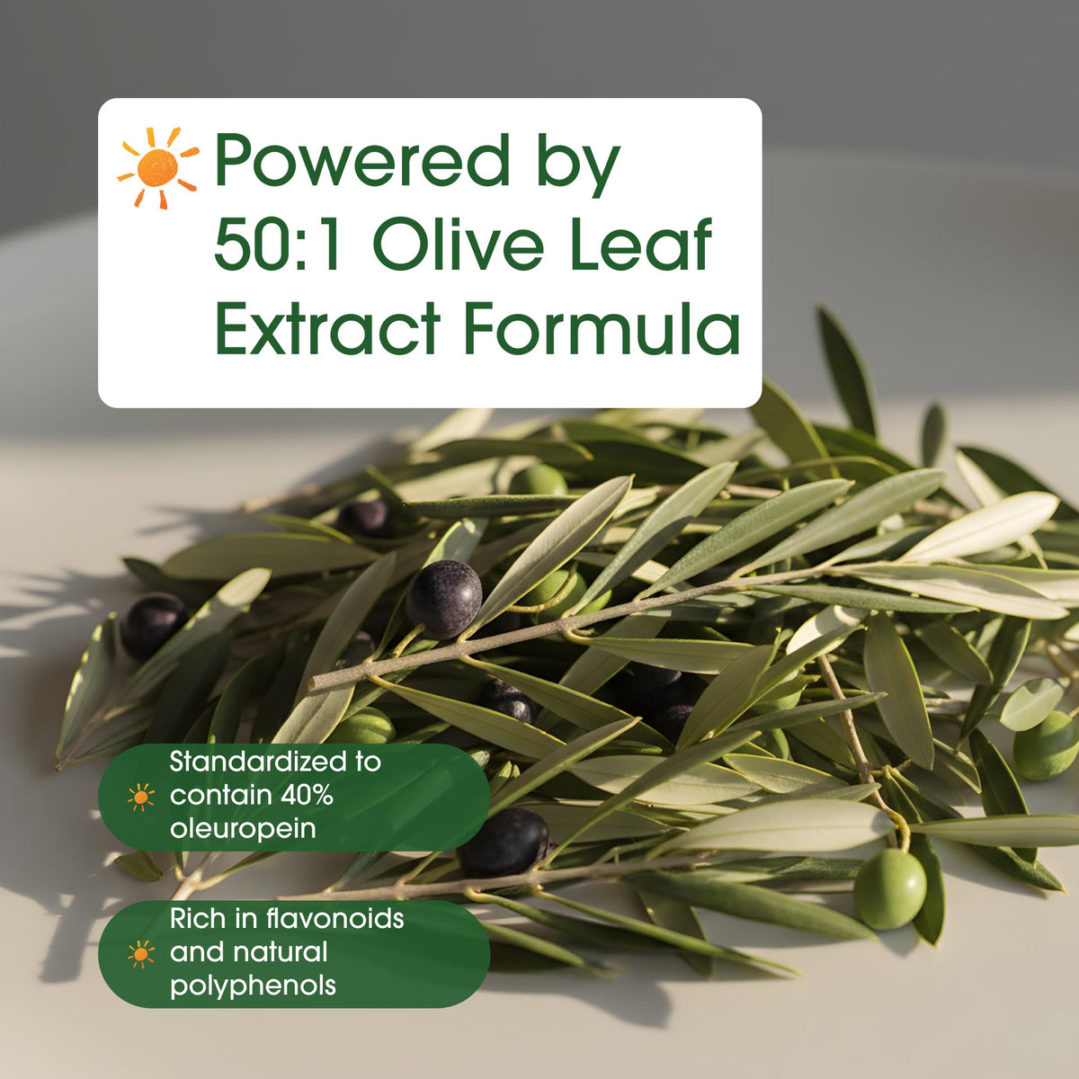 NatureBell premium olive leaf extract 240 capsules showcasing the original USA manufactured packaging seals