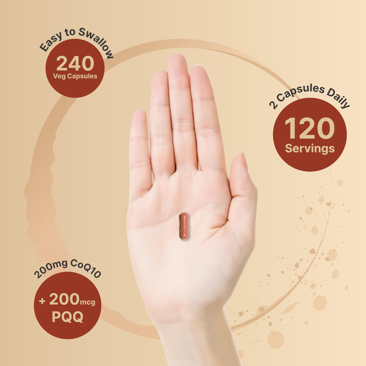 NatureBell Ubiquinone and PQQ formula highlighting 240 count vegetarian capsules capsule size.