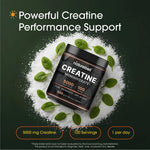 NatureBell Micronized Creatine Monohydrate Powder 500 grams tub