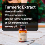 NatureWise premium turmeric extract supplement bottle label and supplement facts panel