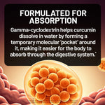Naturewise Turmeric Curcumin capsules supplement facts panel