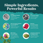 Premium liver enzyme balance supplement by Natures Craft showcasing brand seal