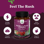 Antioxidant rich hawthorn berry supplement capsules container angle view