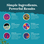 Premium nootropic brain booster capsules for clarity and cognitive health